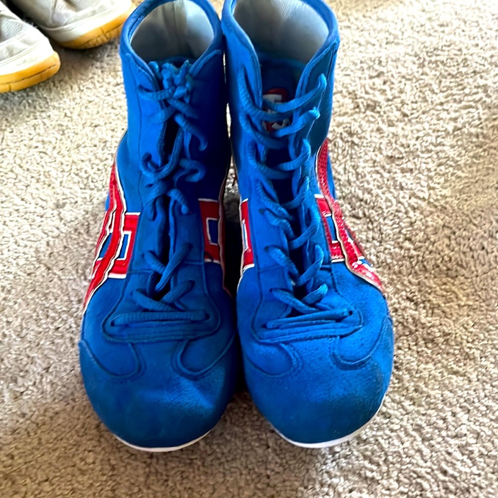 Wrestling shoes